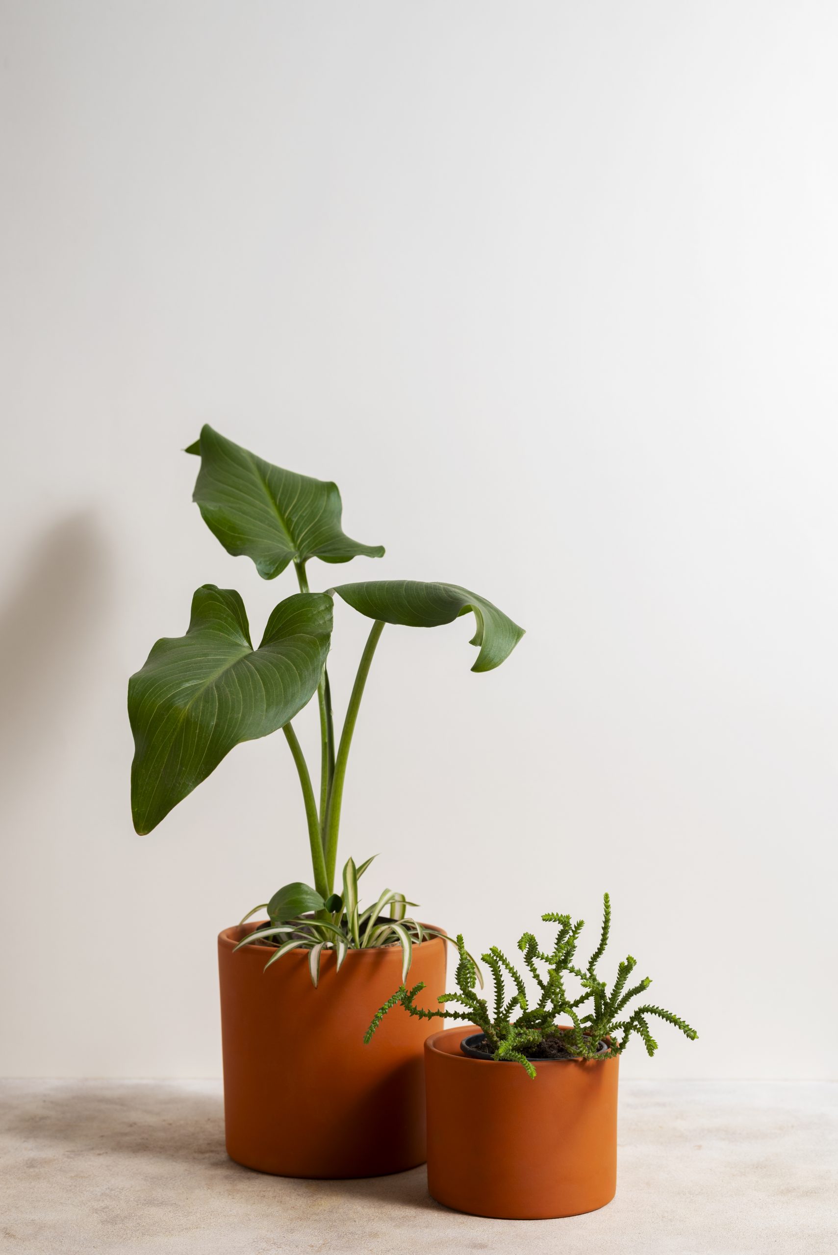 A thoughtful, considered approach to helping people find their home